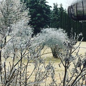 Snow Day Sale❄️❄️❄️